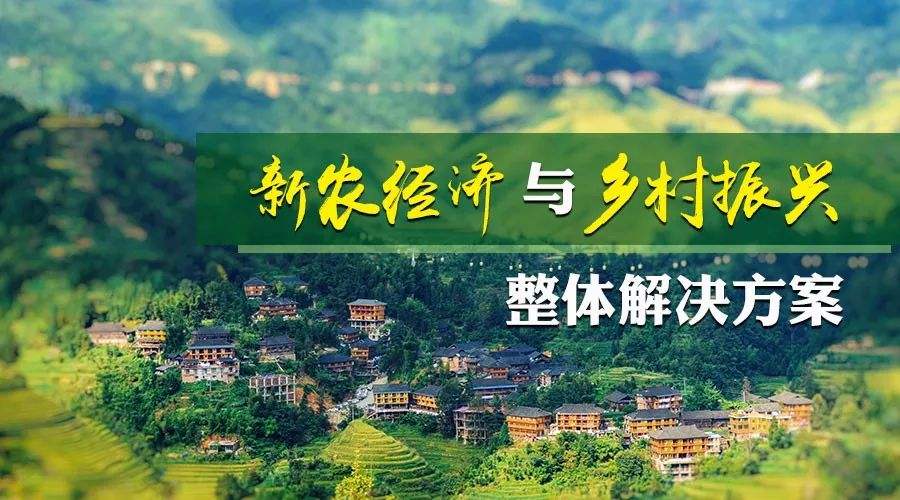 图一